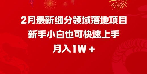 2月最新细分领域落地项目，新手小白也可快速上手，月入1W-点点短视频网