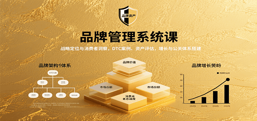 品牌管理系统课：战略定位与消费者洞察，DTC案例、资产评估，增长与公关体系搭建-点点短视频网