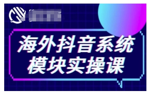 海外抖音Tiktok系统模块实操课，TK短视频带货，TK直播带货，TK小店端实操等-点点短视频网