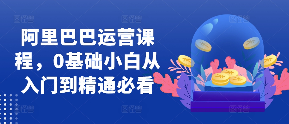 阿里巴巴运营课程，0基础小白从入门到精通必看-点点短视频网