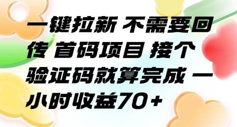 一键拉新 不需要回传 首码项目 接个验证码就算完成 一小时收益70+【揭秘】-点点短视频网