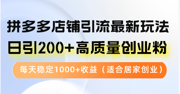 拼多多店铺引流最新玩法，日引200+高质量创业粉，每天稳定1000+收益（…-点点短视频网