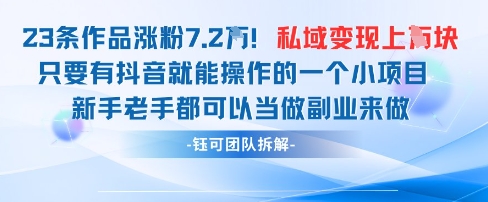 抖音私域项目23条作品涨粉7.2W，私域变现1W-点点短视频网