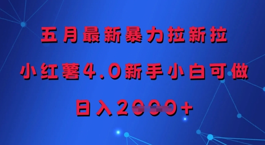 五月最新暴力拉新拉，小红薯4.0新手小白可做，日入多张-点点短视频网