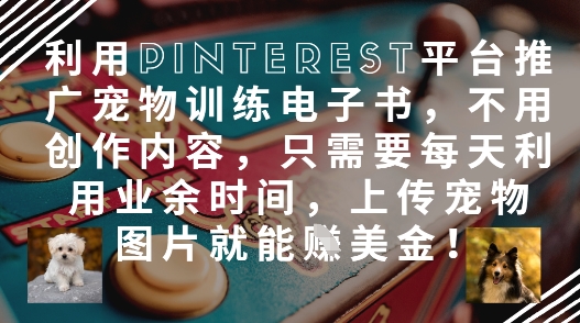 利用Pinterest平台推广宠物训练电子书，不用创作内容，只需要每天利用业余时间，上传宠物图片就能挣美金!-点点短视频网