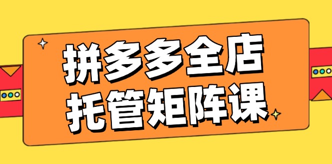 拼多多全店托管矩阵课，盈利动销玩法，高效计划设置，提升店铺效益-点点短视频网
