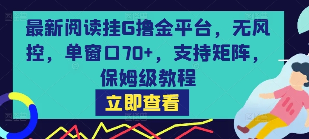 最新阅读挂G撸金平台，无风控，单窗口70+，支持矩阵，保姆级教程【揭秘】-点点短视频网