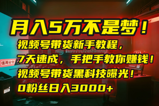 月入5万不是梦！视频号带货新手教程，7天速成，手把手教你赚钱！视频号…-点点短视频网