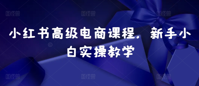 小红书高级电商课程，新手小白实操教学-点点短视频网