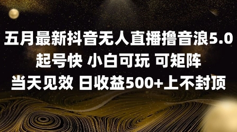 2025五月最新无人直播撸音浪单日产出5张+实操教程【揭秘】-点点短视频网