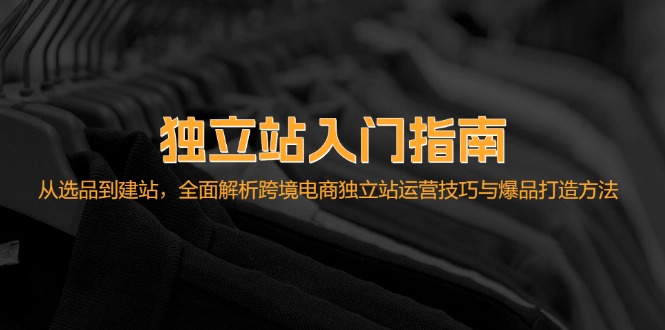 独立站入门指南：从选品到建站，全面解析跨境电商独立站运营技巧与爆品…-点点短视频网