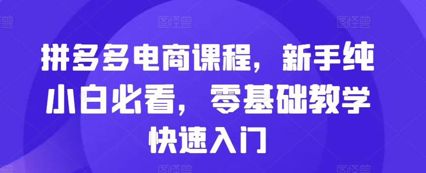拼多多电商课程，新手纯小白必看，零基础教学快速入门-点点短视频网