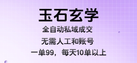 玉石玄学全自动私域成交，一单99每天十单以上，无需人工和矩阵账号，蓝海项目直接干【揭秘】-点点短视频网