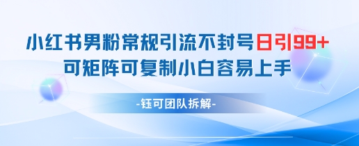 小红书男粉常规引流不封号日引99+变现简单 可矩阵可复制小白容易上手-点点短视频网
