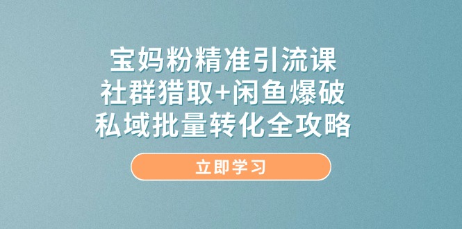 宝妈粉精准引流课，社群猎取+闲鱼爆破，私域批量转化全攻略-点点短视频网