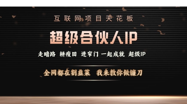 互联网项目天花板，超级合伙人IP，全网都在割韭菜，我来教你做镰刀【仅揭秘】-点点短视频网