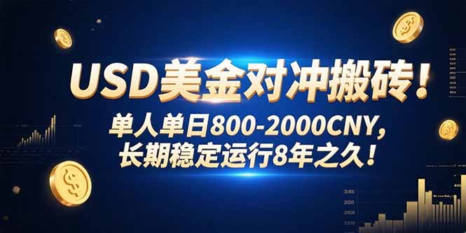 USD美金对冲搬砖!单人单日800-2000CNY，长期稳定运行8年之久!-点点短视频网
