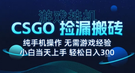 8月最新游戏搬砖，CSGO纯挂G，不需要玩游戏，实现真挂G，月入1W+【揭秘】-点点短视频网
