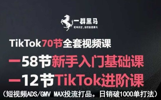 TikTok全套视频课，新手入门+进阶课，短视频ADS-GMV MAX投流打品，日销破1000单打法-点点短视频网