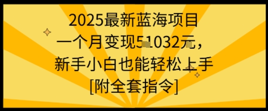 2025最新蓝海项目一个月变现1w+新手小白也能轻松上手【附全套指令】-点点短视频网