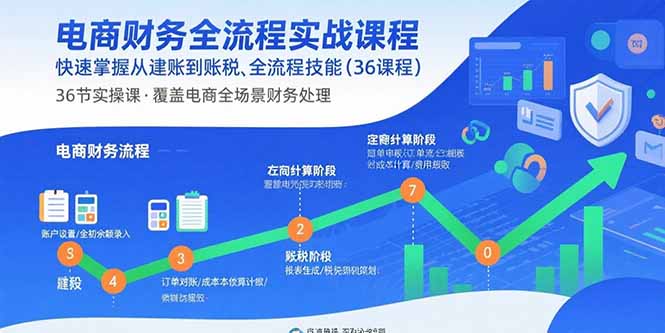 电商财务全流程实战课程：快速掌握从建账到报税的全流程技能(36节课-点点短视频网