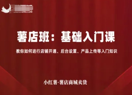 小红薯薯店商城卖货，基础入门课，教你如何进行店铺开通、后台设置、产品上传等入门知识-点点短视频网