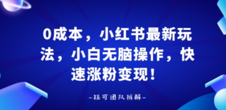 0成本，小红书最新玩法，小白无脑操作，快速涨粉变现-点点短视频网