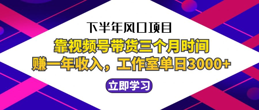 下半年风口项目，靠视频号带货三个月时间赚一年收入，工作室实测单日3…-点点短视频网